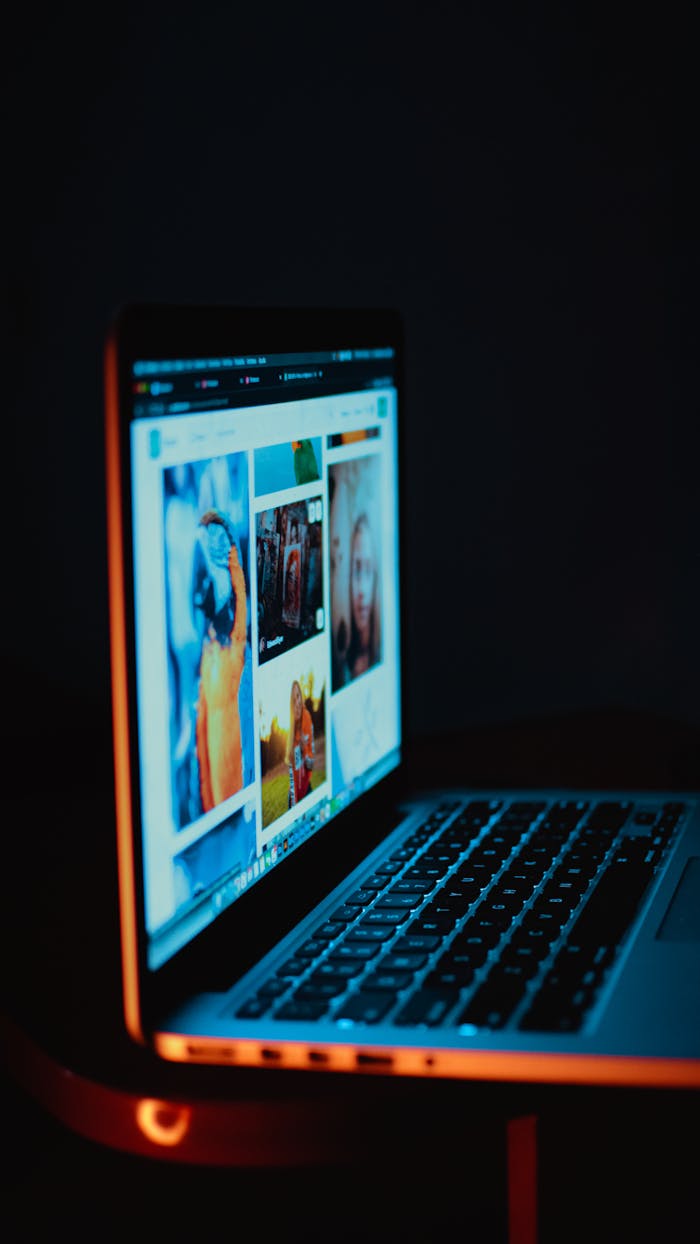 pexels photo 18021924.jpeg